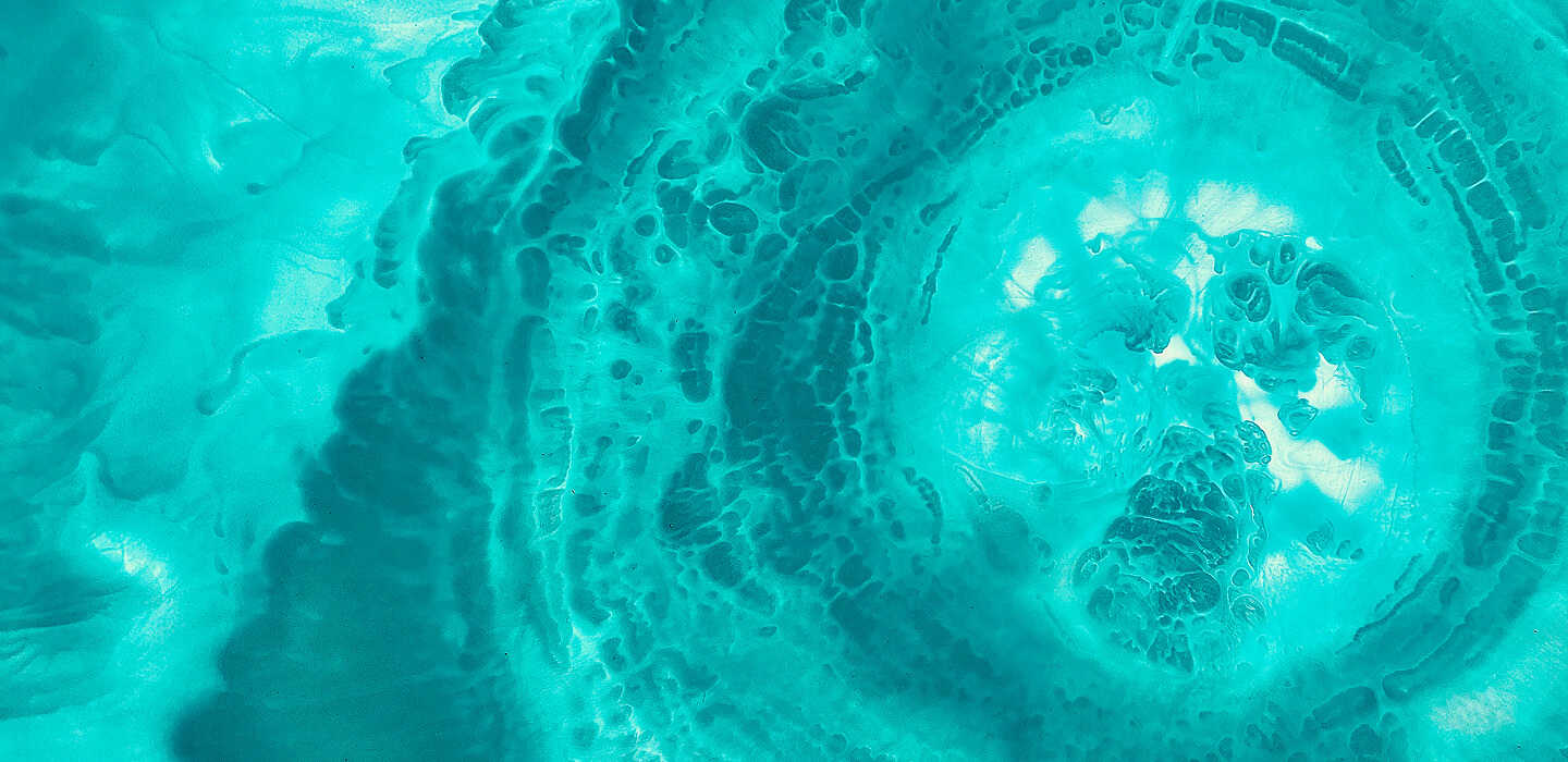 Proactive Stewardship